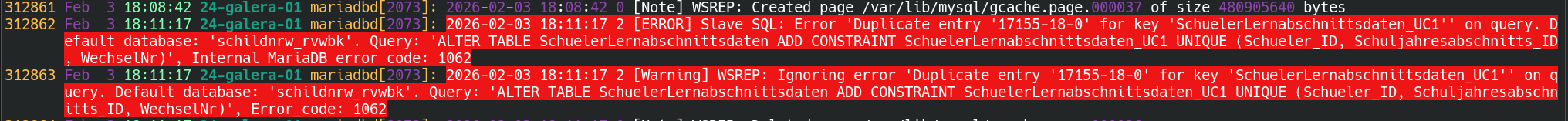 Bild (1).png