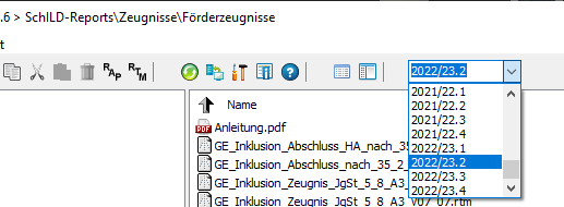 reportexpl.png
