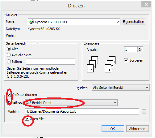 In XLS Bericht Datei drucken.png