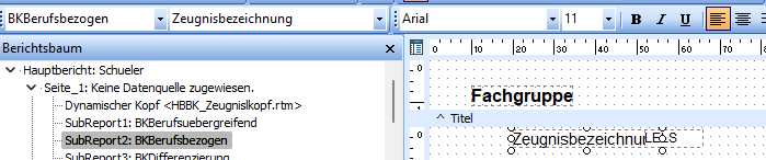 Reportdesigner.png