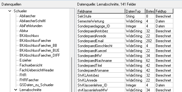 Sonderpaedagoge.png